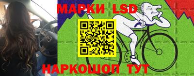 крисы Кунгур