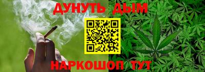 крисы Кунгур
