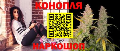 крисы Кунгур